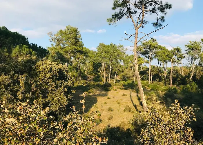 Apartamento 180° Vue Océan, T3 Marin De Gamme